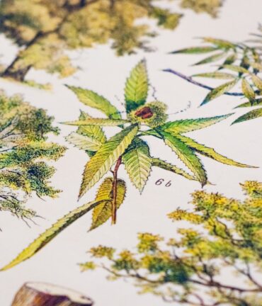 plakat vintage Follygraph