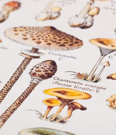 vintage poster follygraph