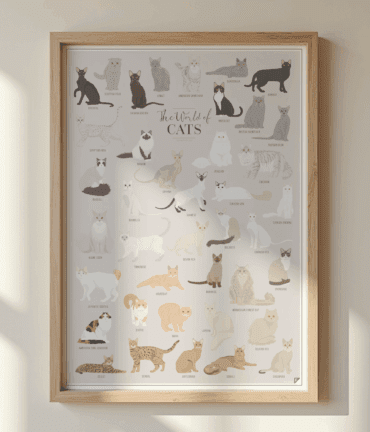 Follygraph poster, chart, infographic, kitchen print, yoga poster, stock market technical analysis, coffee guide, yoga asanas