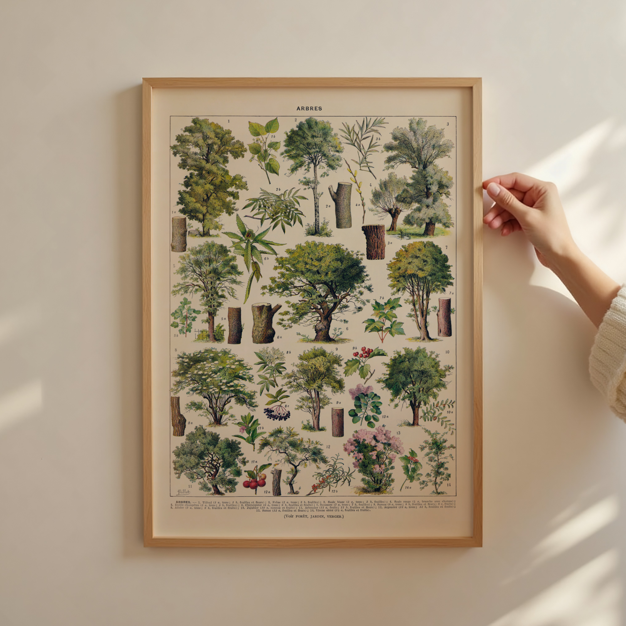 Follygraph poster, chart, infographic, kitchen print, yoga poster, stock market technical analysis, coffee guide, yoga asanas