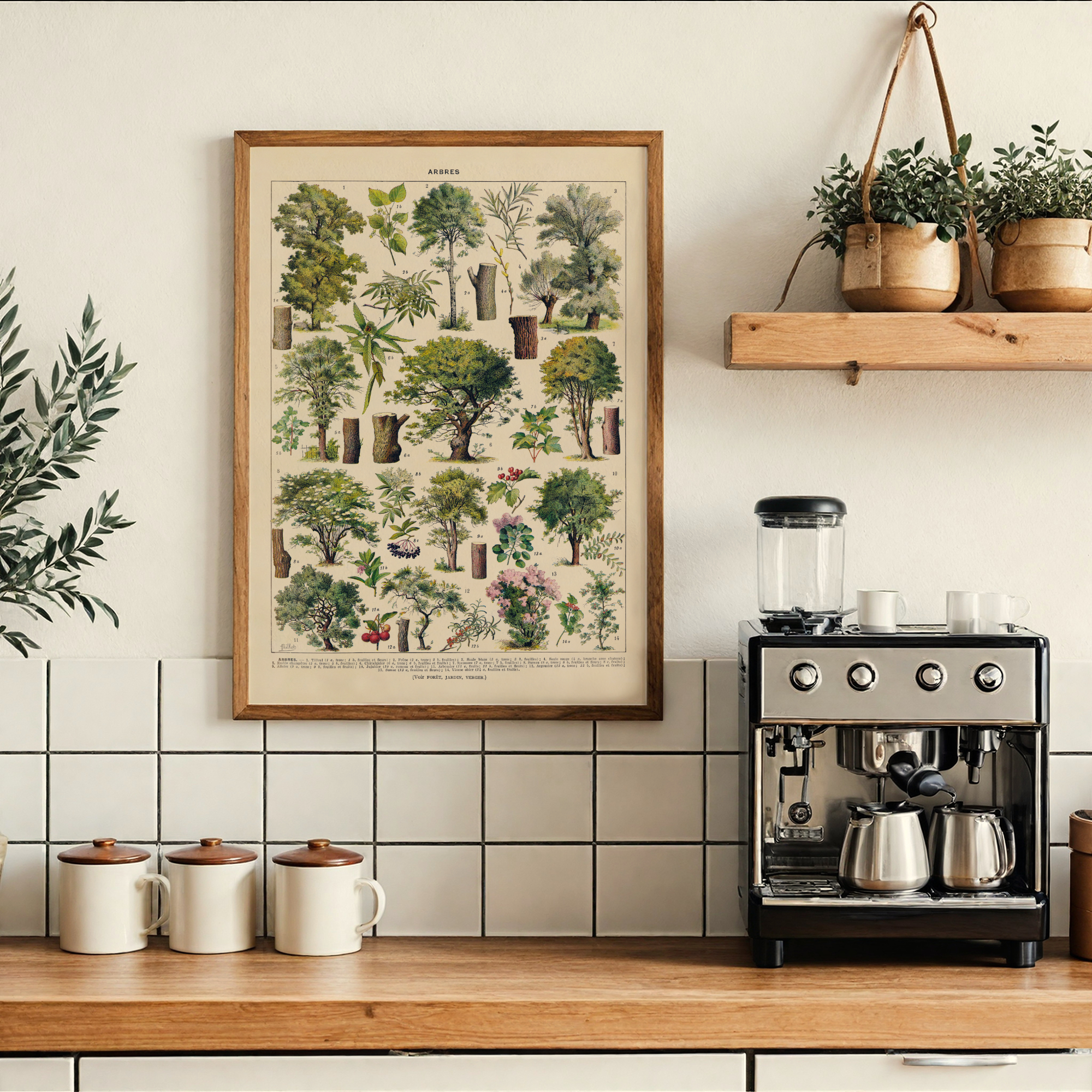 Follygraph poster, chart, infographic, kitchen print, yoga poster, stock market technical analysis, coffee guide, yoga asanas